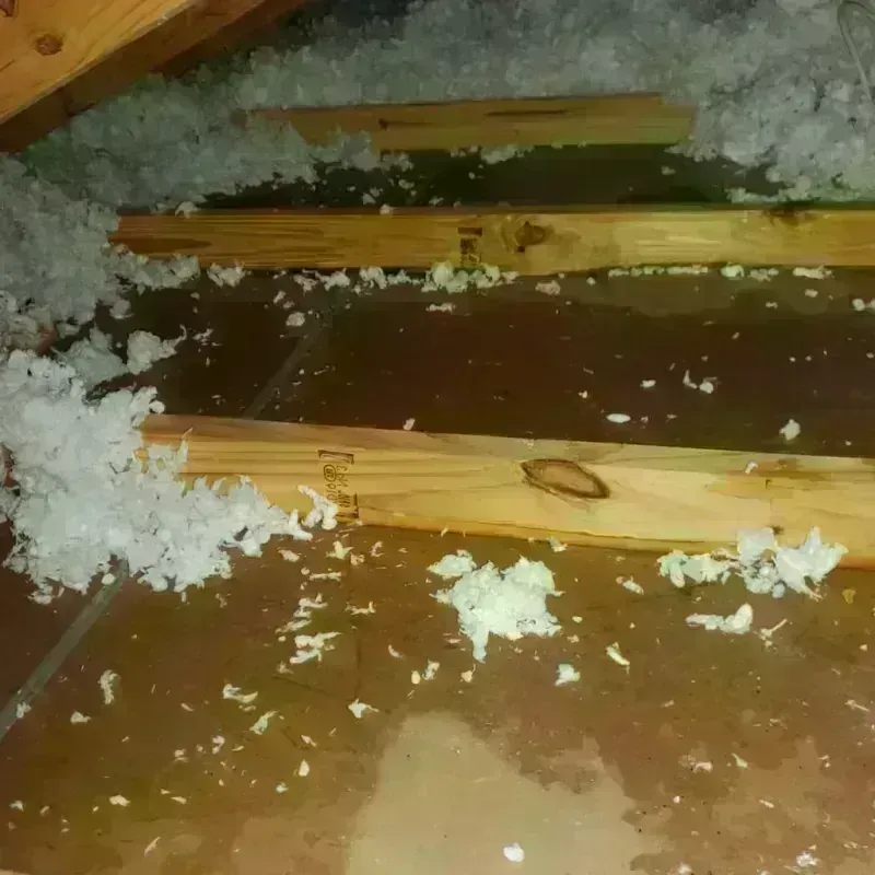 Attic Water Damage in Houston County, GA