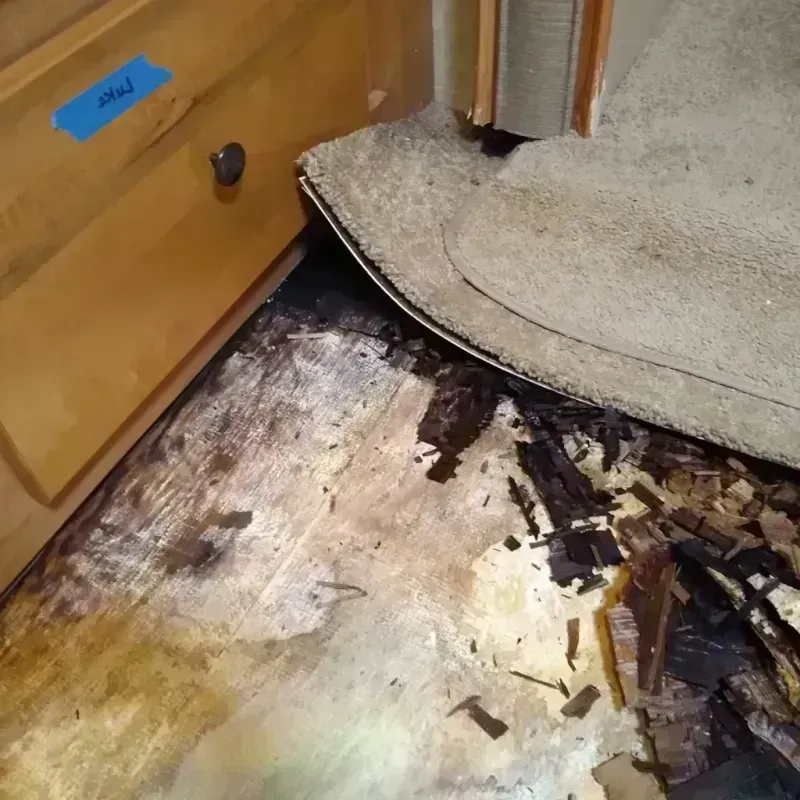 Wood Floor Water Damage in Houston County, GA